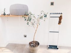 -Onirii Coffee(长乐路店)