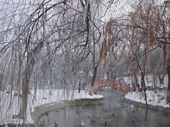-水磨沟公园