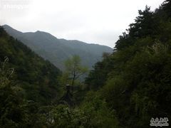 -王顺山国家森林公园