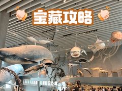 -上海自然博物馆