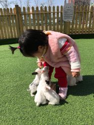 -萌宠亲子动物乐园(槐房万达店)