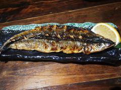 盐烤秋刀鱼-鸟鸣门屋台料理(金帝银泰店)