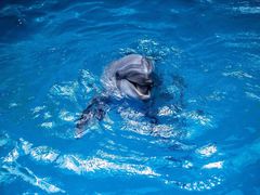 -石林冰雪海洋世界