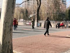 -黄村公园