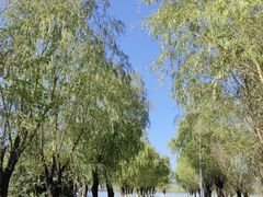 -艾溪湖湿地公园