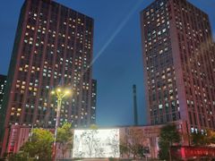 -王老六铁锅炖鱼(华阳路店)