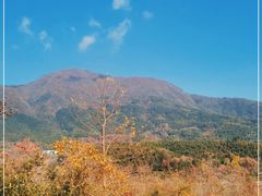 -塔川景区