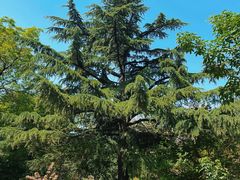 -国家植物园南园