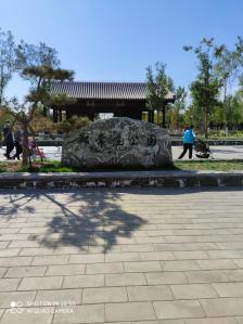 郑常庄公园-"家附近又开了个新的公园,周末趁着天气好赶.