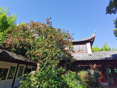 -秋霞圃