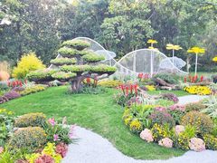 -上海共青森林公园