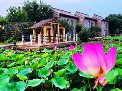 -万源龙顺度假庄园生态观光园