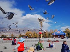 -宗角禄康公园