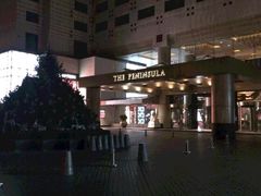 -王府半岛酒店