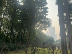-广州珠江公园