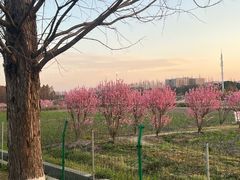 -嘉北郊野公园