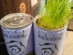 -很久以前羊肉串(昌里路三钢里店)