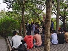 -上海佘山国家森林公园西佘山园