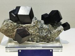 -安徽省地质博物馆