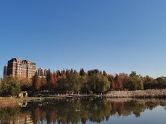 -前关湿地公园