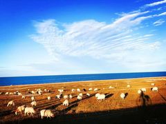 -青海湖国家重点风景名胜区