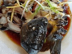 -夏雨路轩特色餐厅·十年经营