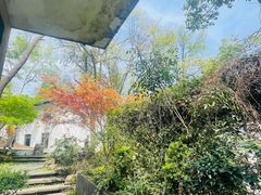 -润泽天·湘味家宴(岳麓山店)