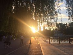 -二一九公园