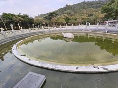 -顺峰山公园
