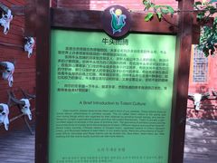 -呀路古热带植物园
