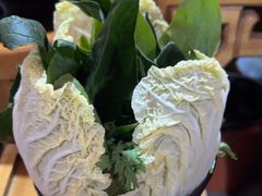 -果松木炭酸菜铜火锅·外婆参鸡汤