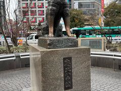 -涩谷全向十字路口