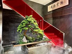 -洞庭家宴·头牌甲鱼(广渠门店)