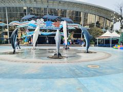 -海合安成都极地海洋公园