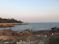 -青岛海景花园大酒店·白果树餐厅青岛菜
