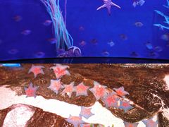 -沈阳海洋探索中心