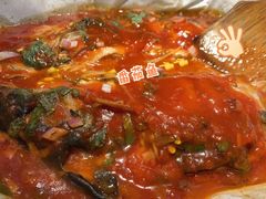 番茄凌波鱼-鱼鼎香烤鱼火锅(华发商都店)