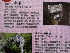 -青藏高原野生动物园