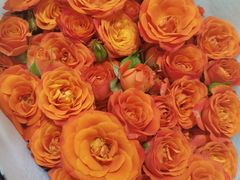 -循礼门鲜花花市(武汉循礼门店)