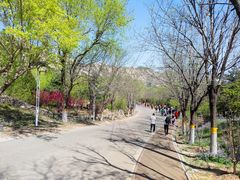 -北京凤凰岭