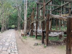 -龙湾潭国家森林公园