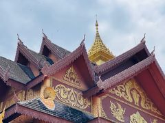 -西双版纳傣族园