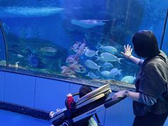 -泉城欧乐堡海洋极地世界