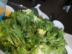 -大胖骨汤火锅(裕华店)