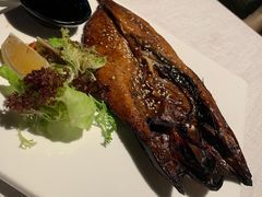 -一棵树·意大利西餐厅One Tree(新城店)