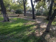 android_upload_pic-辽宁大学(崇山校区)