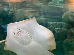-珠海长隆海洋王国