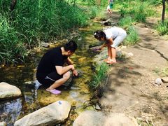 -碓臼峪自然风景区