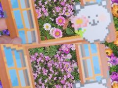 -溪岸路花鸟市场