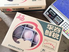 -小慧大桃观光采摘园